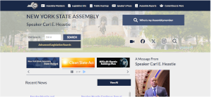 my version of the new york state assembly home page